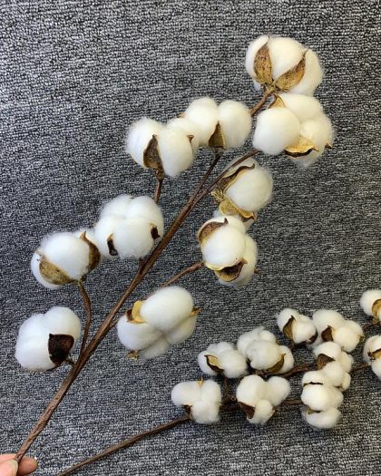 Artificial Dried Cotton Flowers White, 5pcs
